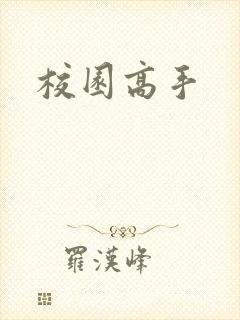 校园高手封面