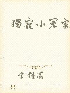 独宠小冤家封面