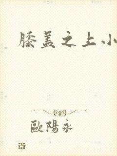 膝盖之上小说