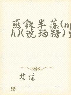 燕钗半落(nph)(琥珀糖)更新
