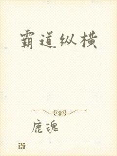 霸道纵横
