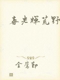 春光辉荒野封面