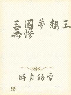 三国梦想王元姬无惨
