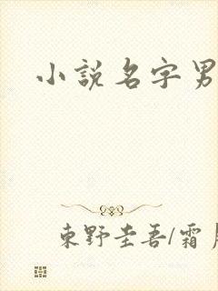 小说名字男生