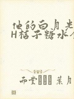 他的白月光HVH桔子糖水全文
