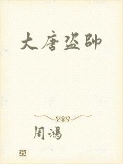 大唐盗帅
