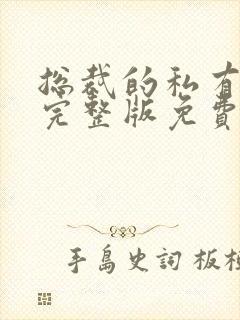 总裁的私有宝贝完整版免费阅读