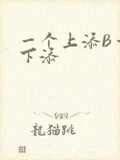 一个上添B一个下添