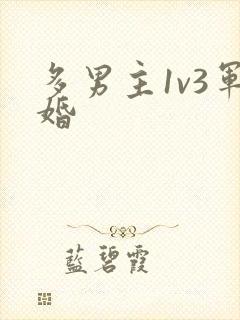 多男主1v3军婚