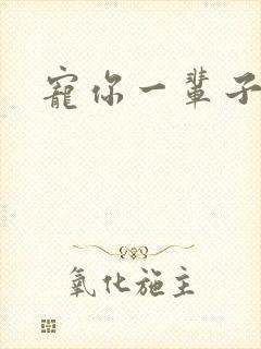 宠你一辈子