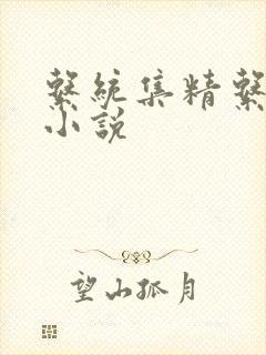 系统集精系统 小说