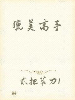 猎美高手封面