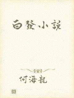 白发小说封面