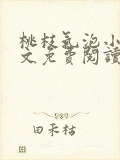 桃枝气泡小说全文免费阅读