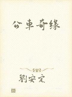 公车奇缘封面