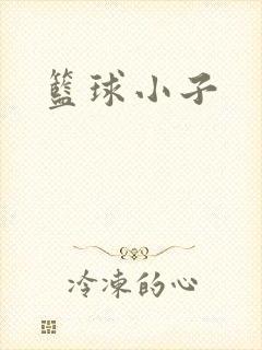 篮球小子封面