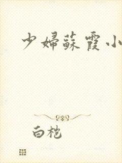 少妇苏霞小说