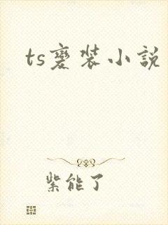 ts变装小说封面