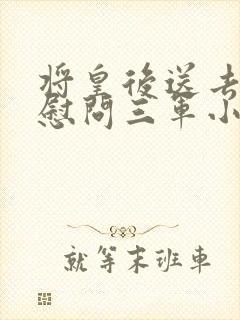 将皇后送去军营慰问三军小说