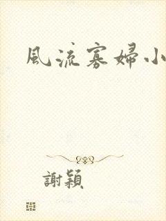 风流寡妇小说