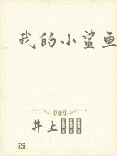 我的小鲨鱼