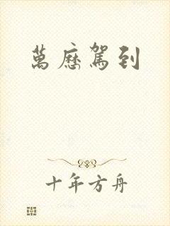 万历驾到封面