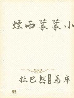 烟雨蒙蒙小说