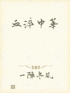 血淬中华封面