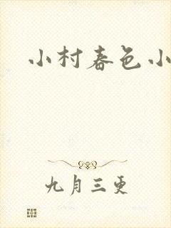 小村春色小说