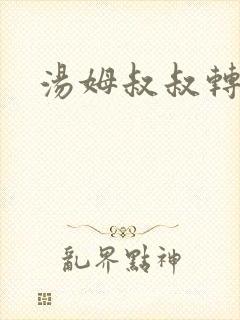 汤姆叔叔转接口