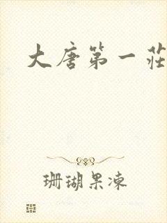 大唐第一庄封面