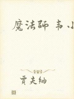 魔法师 韦小宝封面