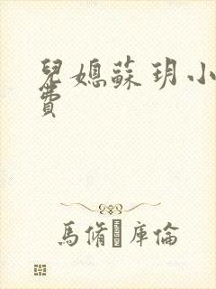 儿媳苏玥小说免费封面