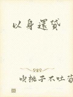以身还贷封面