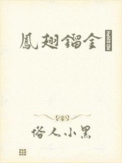 凤翅镏金镋