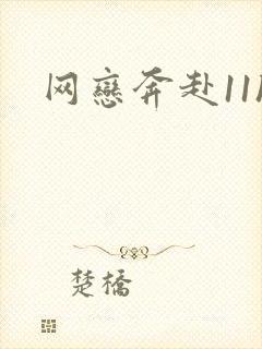 网恋奔赴11h