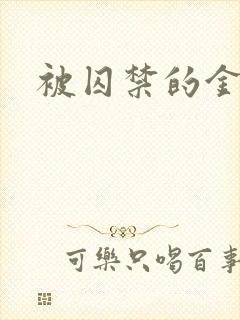 被囚禁的金丝雀封面