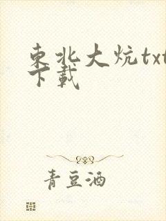 东北大炕txt下载