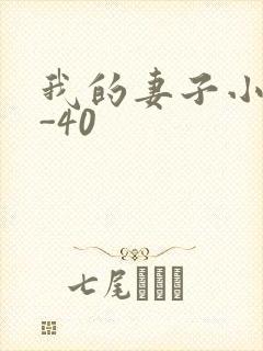 我的妻子小谨1-40