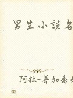 男生小说名字封面