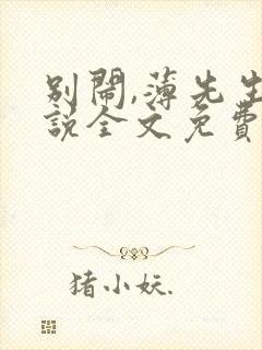 别闹,薄先生小说全文免费阅读