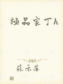 极品家丁h