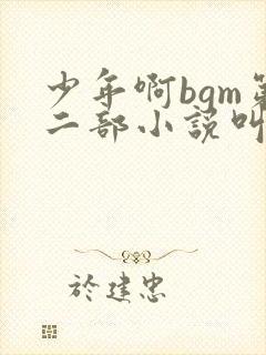 少年啊bgm第二部小说叫什么封面