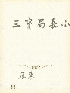 三宝局长小说
