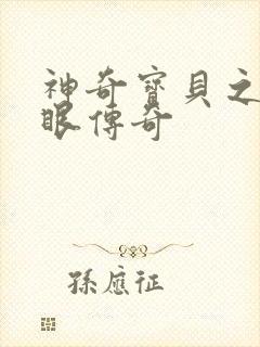神奇宝贝之写轮眼传奇封面