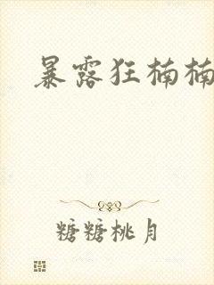 暴露狂楠楠封面