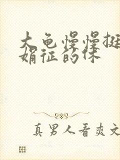 大龟慢慢挺进张娟征的休封面