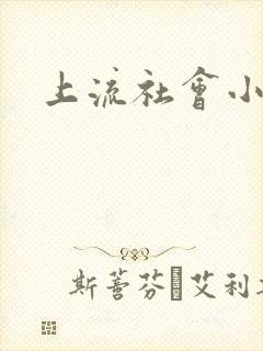上流社会小说封面