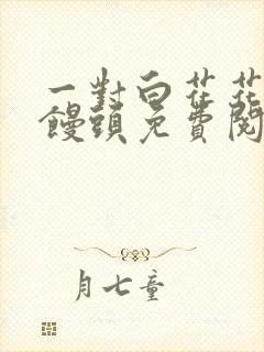 一对白花花的大馒头免费阅读