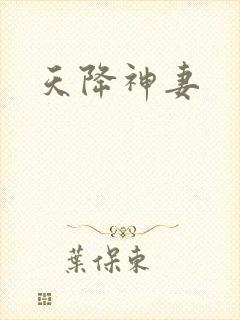 天降神妻